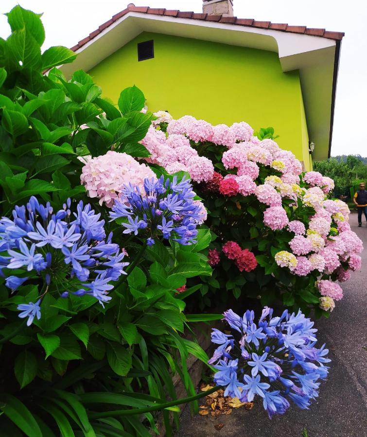 Casina Verde Manzana Villaviciosa  Luaran gambar