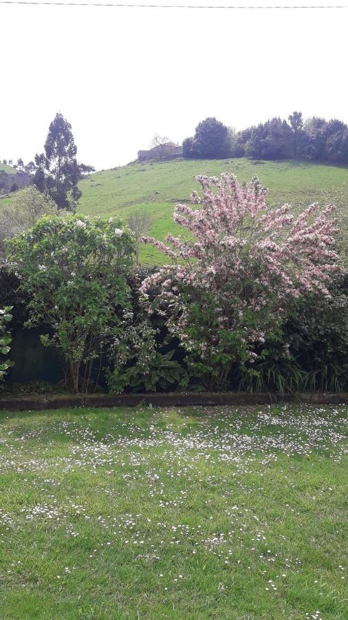 Casina Verde Manzana Villaviciosa  Luaran gambar